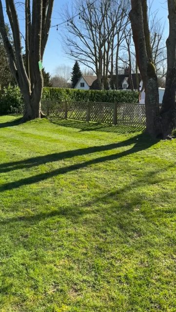 First garden customers this season 😉☀️☀️☀️