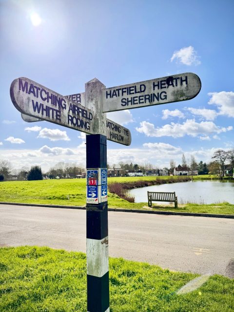 Hello sunny Saturday ☀️