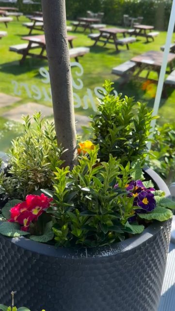 Lovely weather for the Bank Holiday service ☀️